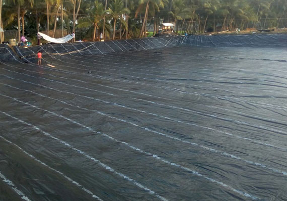 Agricultural Pond liners