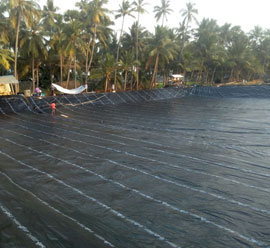 Agriculture Pond liner